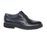 IKOS 1913-1/BLACK/LICO