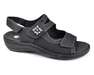 REMONTE D7647-02
