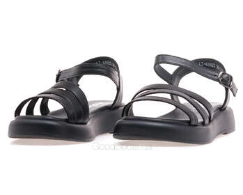 24 PFM LT-66623/BLACK