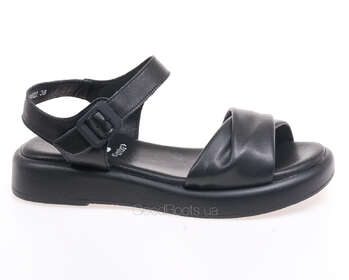 24 PFM LT-66622/BLACK