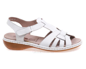 24 PFM C5-79127-32/WHITE