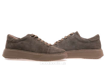 STEPTER 8806/BROWN WELL