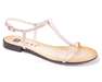 NESSI 49004/roz CT