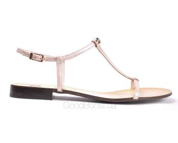 NESSI 49004/roz CT