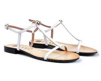 NESSI 49004/BIALY 3