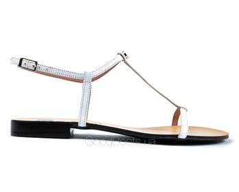 NESSI 49004/BIALY 3