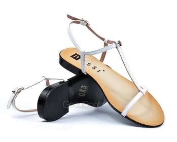 NESSI 49004/BIALY 3