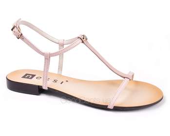 NESSI 49004/ROZ 1