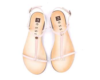 NESSI 49004/ROZ 1