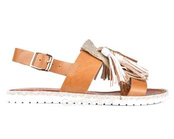 NESSI 19569/CAMEL