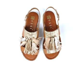 NESSI 19569/CAMEL