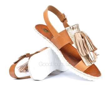 NESSI 19569/CAMEL
