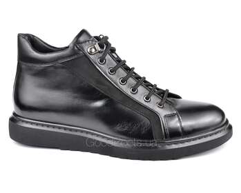 STEPTER 6643