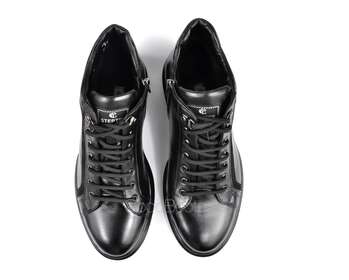 STEPTER 6643