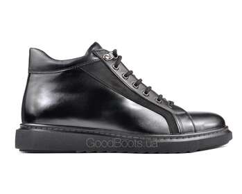 STEPTER 6643