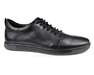 STEPTER 7479/BLACK LICO