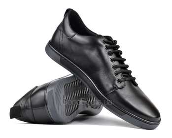 STEPTER 7479/BLACK LICO