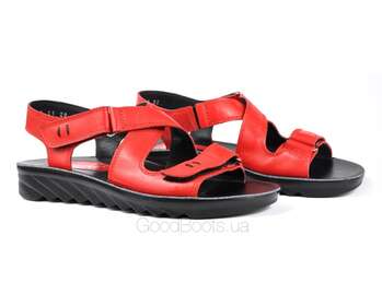 STEPTER 6209