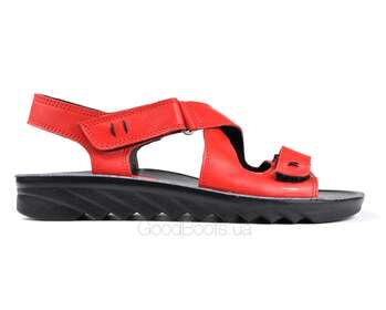 STEPTER 6209
