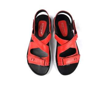 STEPTER 6209
