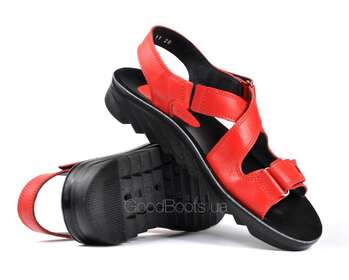 STEPTER 6209