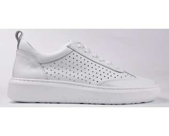 STEPTER 7641/WHITE/LICO